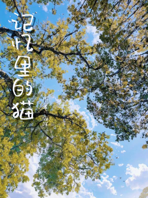 记忆里的猫