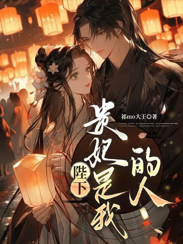 陛下，贵妃是我的人